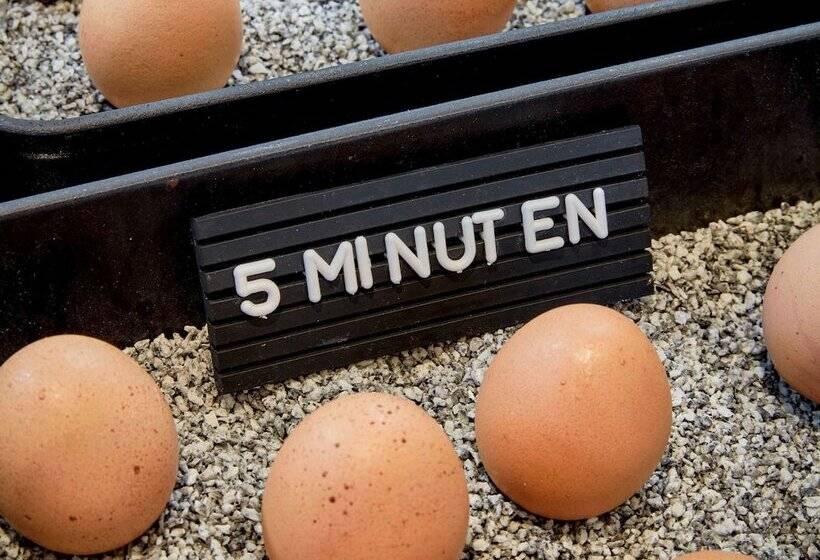 Fotos del hotel 25hours  Das Tour:  4