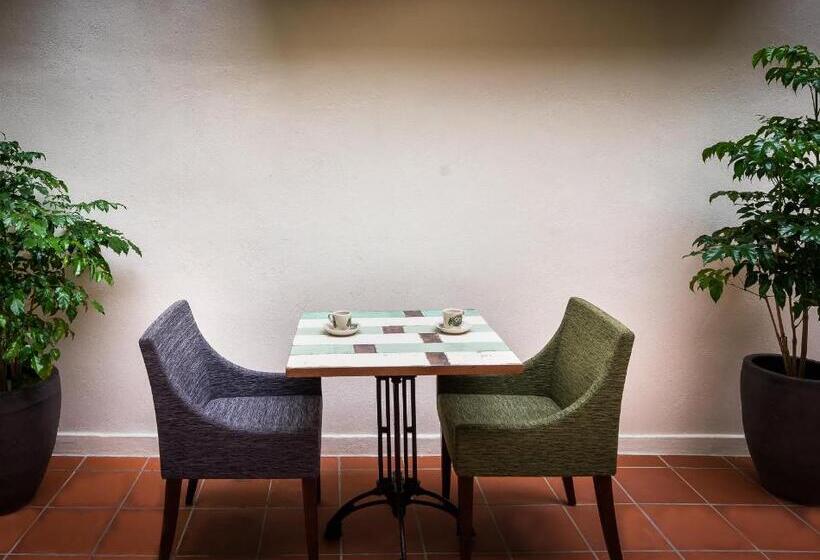 Fotos del hotel Treasures Hotel And Suites:  22