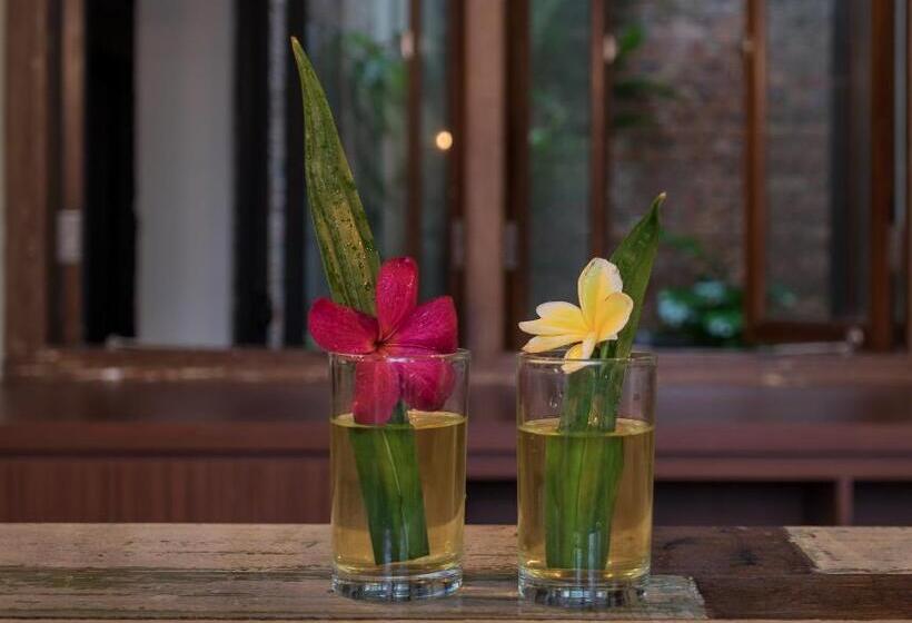 Fotos del hotel Treasures Hotel And Suites:  23