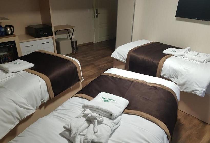 Fotos del hotel Sultan:  24