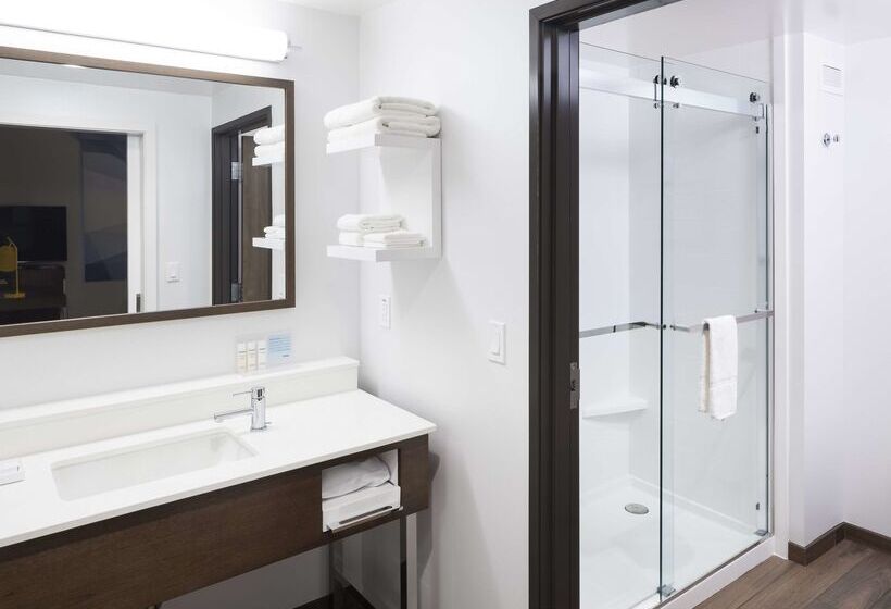 Fotos del hotel Hampton Inn & Suites Phoenix Downtown:  19