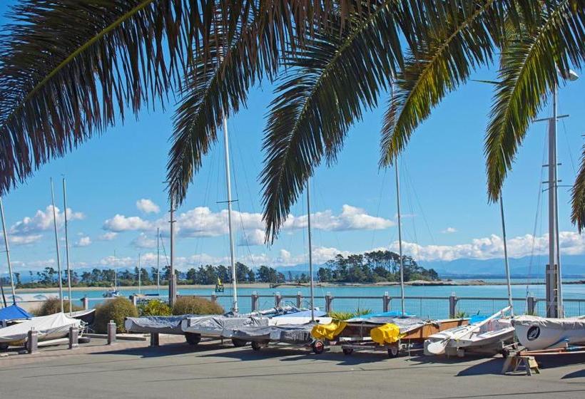 Waterfront Apartments Nelson