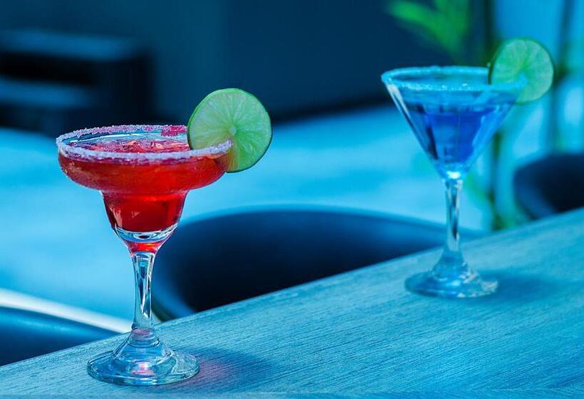 Fotos del hotel Laureles Plaza:  25