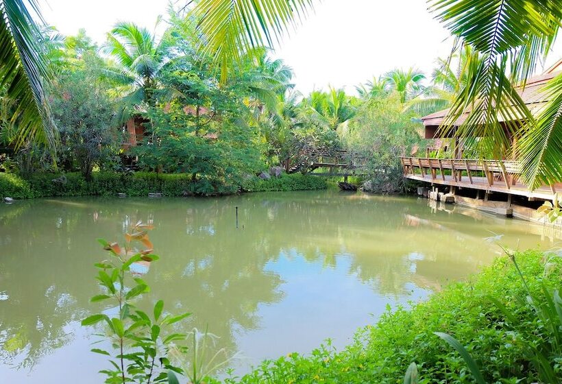 Fotos del hotel Naya Resort:  6