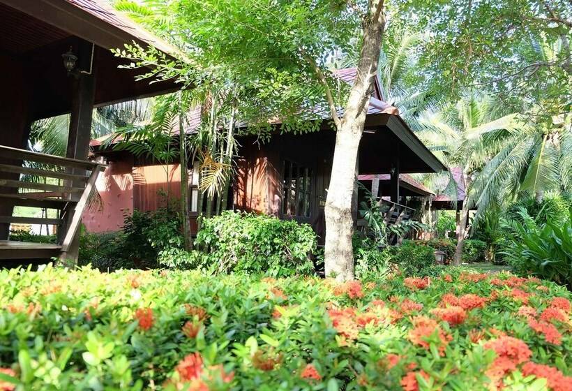 Fotos del hotel Naya Resort:  13