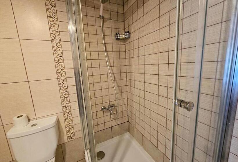 Fotos del hotel Park Palace:  9