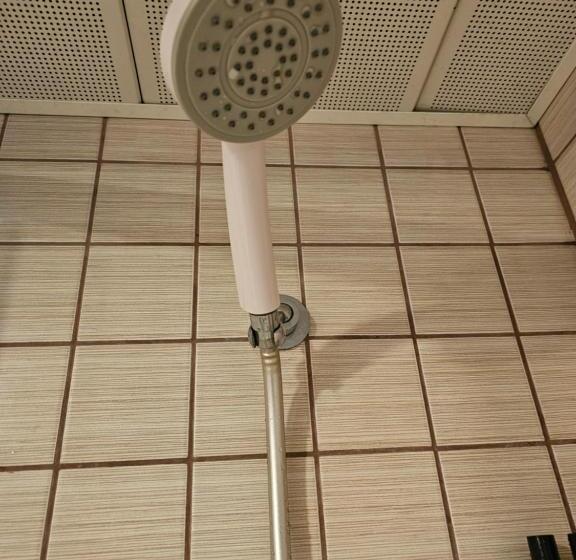 Fotos del hotel Park Palace:  21