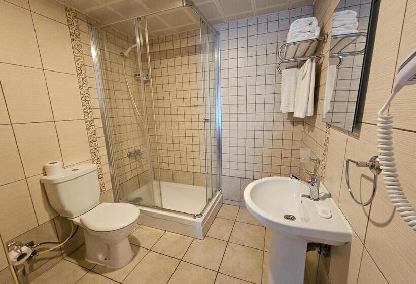 Fotos del hotel Park Palace:  14