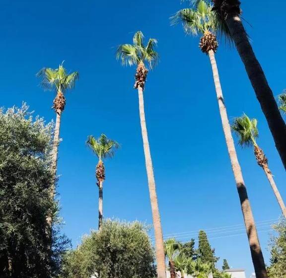 Fotos del hotel Park Palace:  22