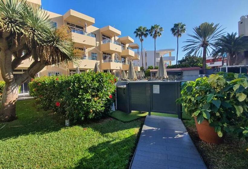 Fotos del hotel Nara:  12