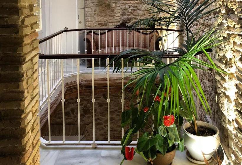 Fotos del hotel Apartamentos Rosario 1:  15