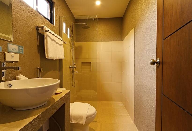 Fotos del hotel Vela Terraces:  15