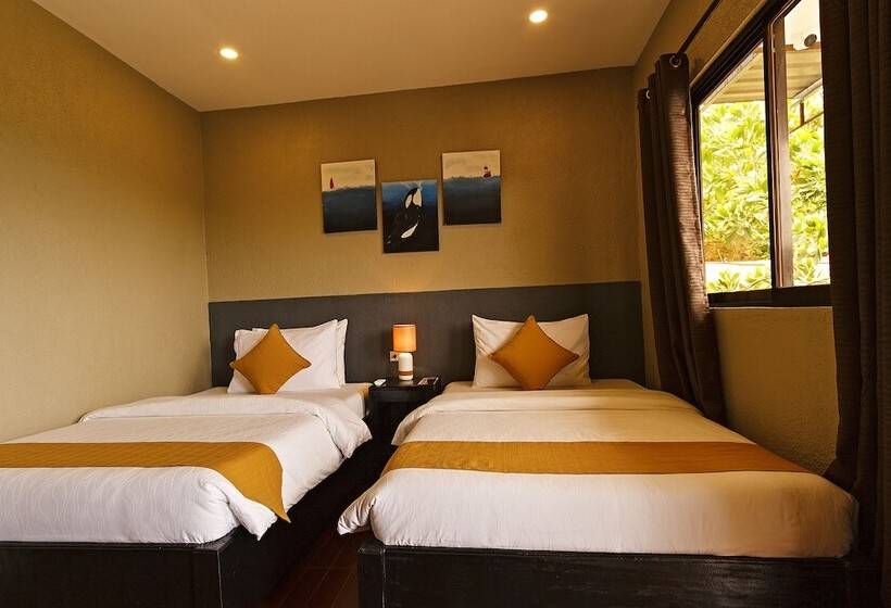 Fotos del hotel Vela Terraces:  21