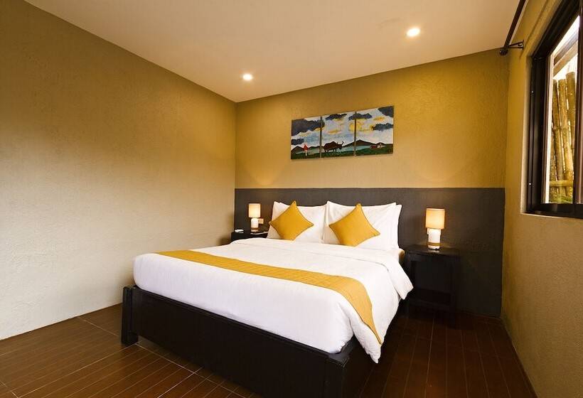 Fotos del hotel Vela Terraces:  18