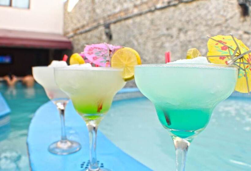 Fotos del hotel Boutique Primavera:  5