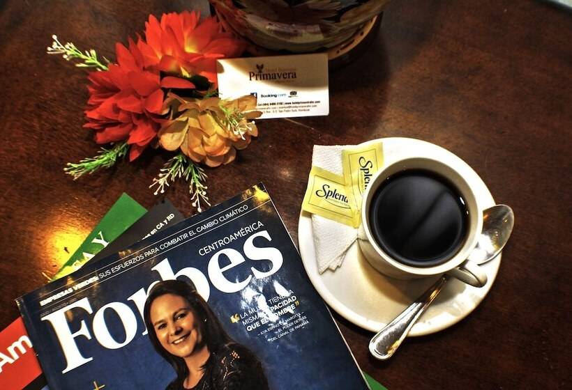 Fotos del hotel Boutique Primavera:  14