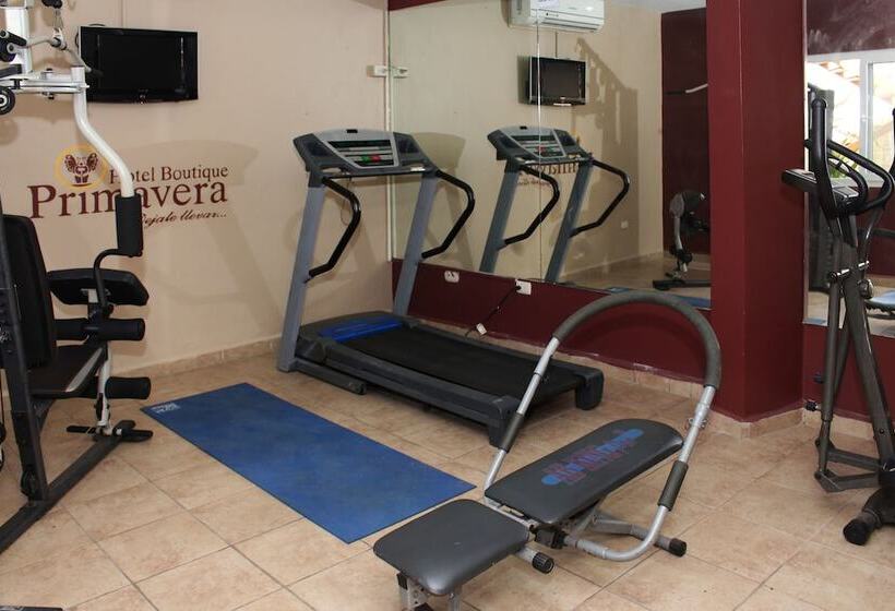 Fotos del hotel Boutique Primavera:  3