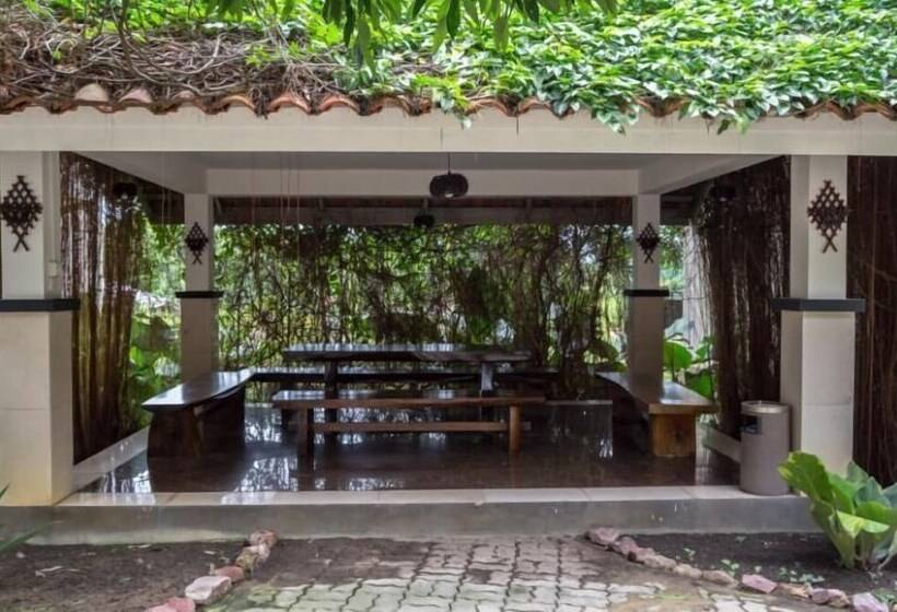 Fotos del hotel Nipah Island Resort:  19