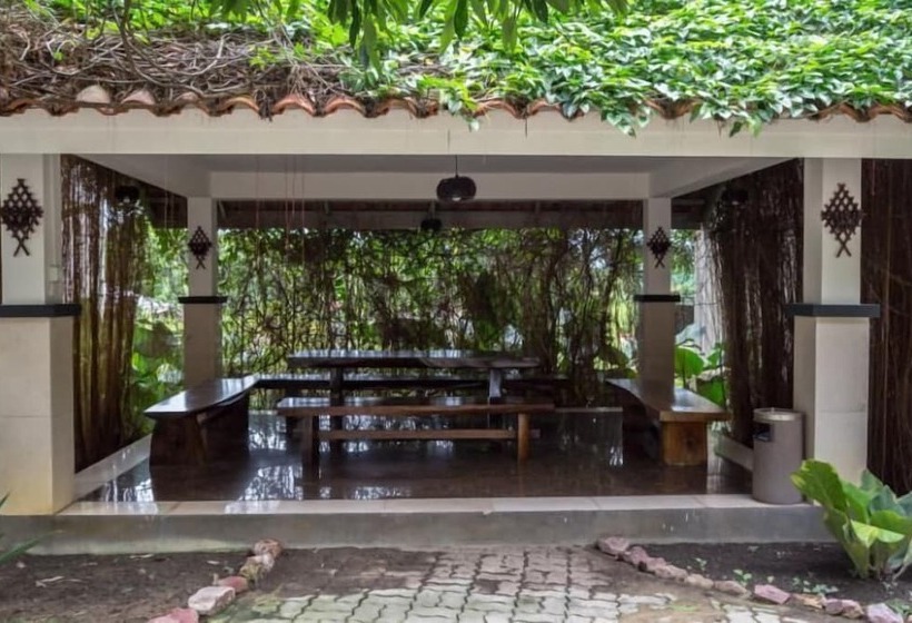 Fotos del hotel Nipah Island Resort:  13