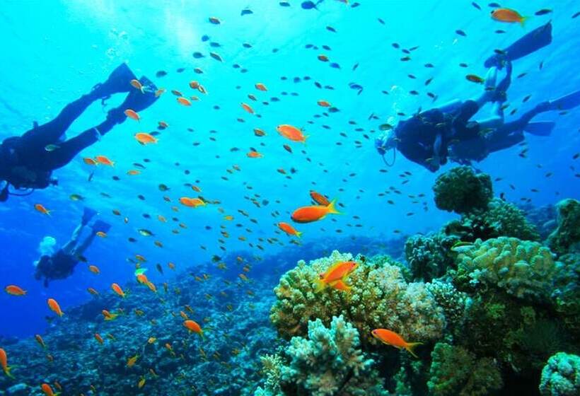 Fotos del hotel Ponte Villas:  19