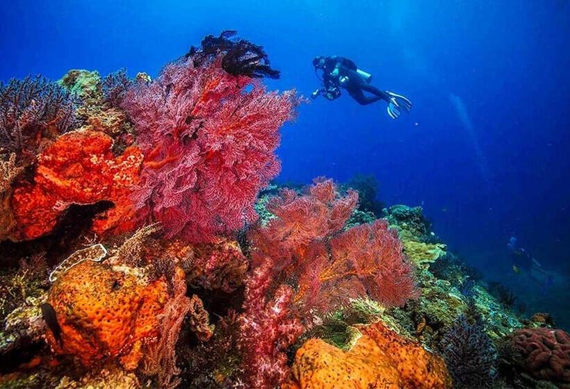 Fotos del hotel Ponte Villas:  15