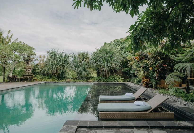 Fotos del hotel Nyoman Karsa Bungalow:  8