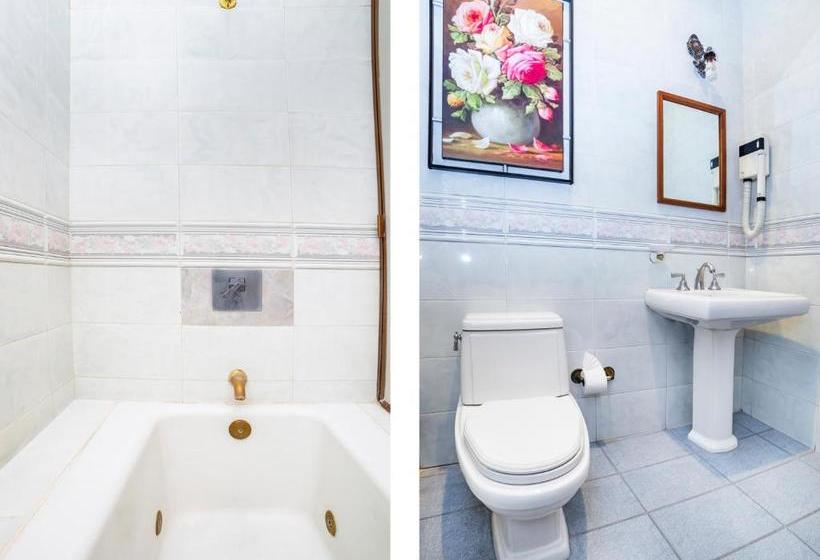 Fotos del hotel Collection O  Boutique Paulina:  3