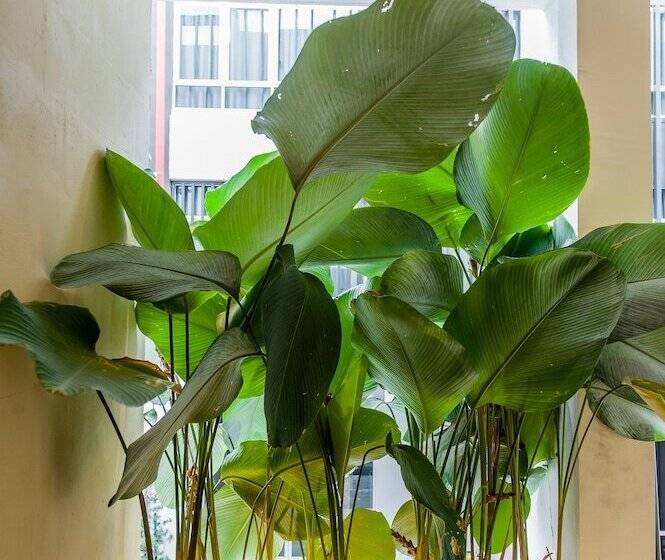 Fotos del hotel Bunk & Bilik Hotel Sri Petaling:  10