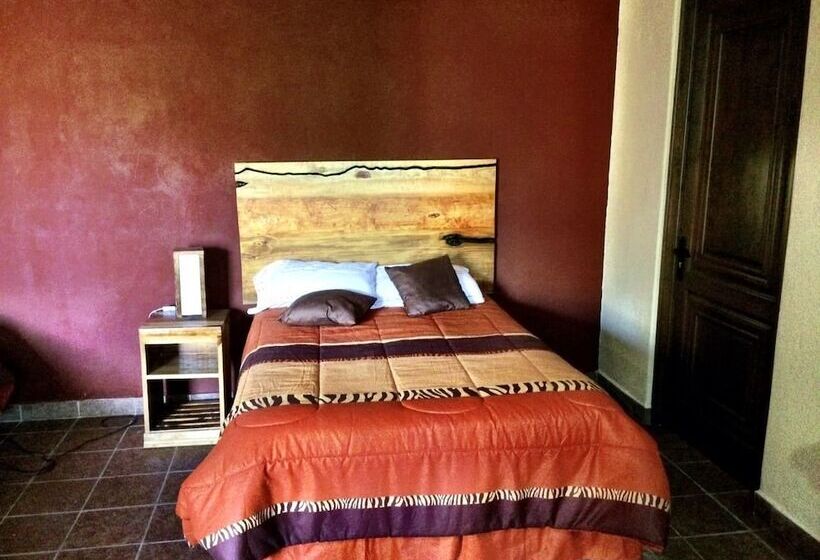 Fotos del hotel Casa San Miguel El Grande:  24