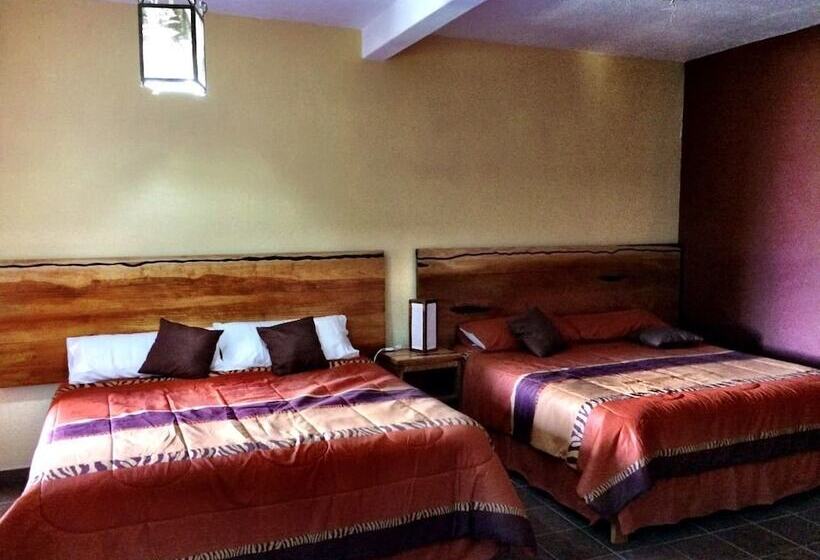 Fotos del hotel Casa San Miguel El Grande:  18