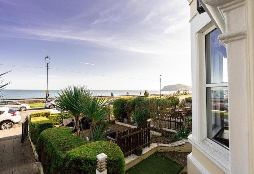 Fotos del hotel Canybae:  12