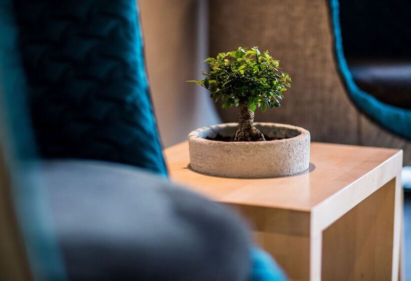 Fotos del hotel Mava Apartamente:  24