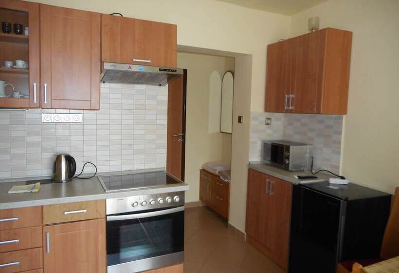 Fotos del hotel Penzion U Lesa:  7