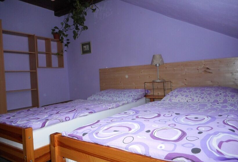 Fotos del hotel Penzion U Lesa:  16