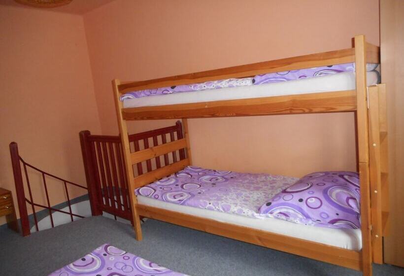 Fotos del hotel Penzion U Lesa:  6