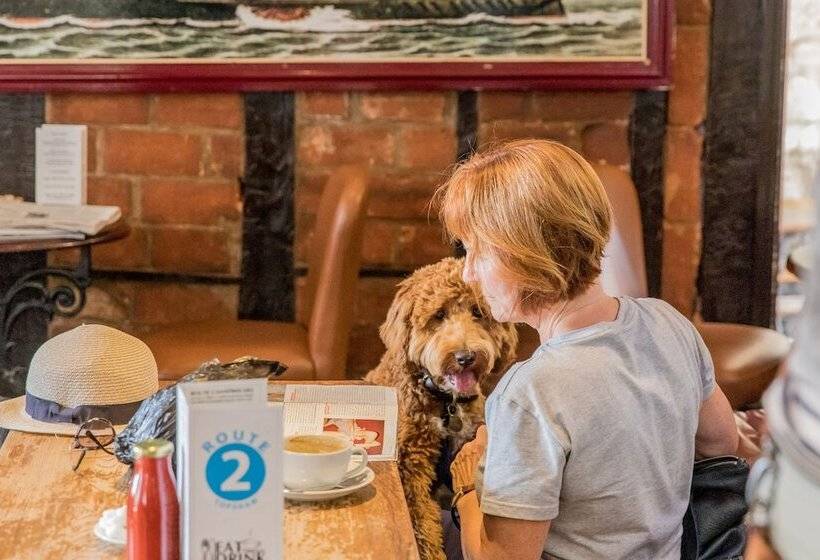 Fotos del hotel Route 2 Topsham:  19