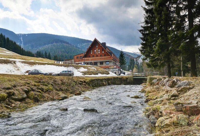 Fotos del hotel Ski  Stoh:  11