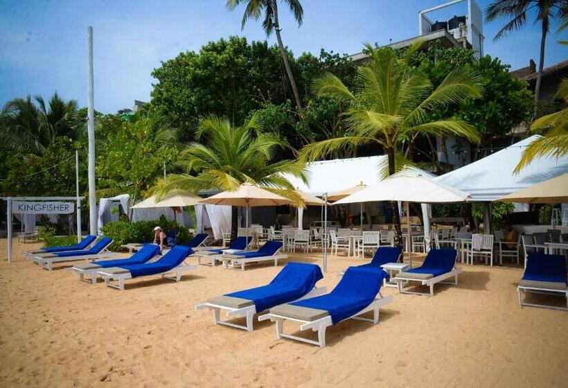 Fotos del hotel Kingfisher:  15