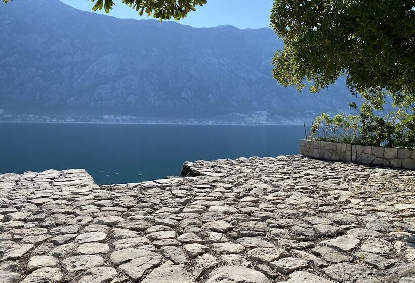 Fotos del hotel Villa Mariner:  7