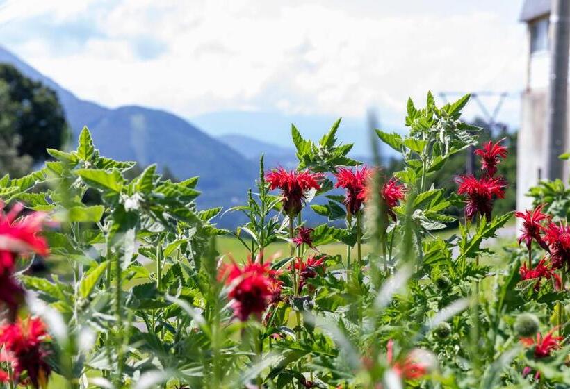 Fotos del hotel Tagawa:  11