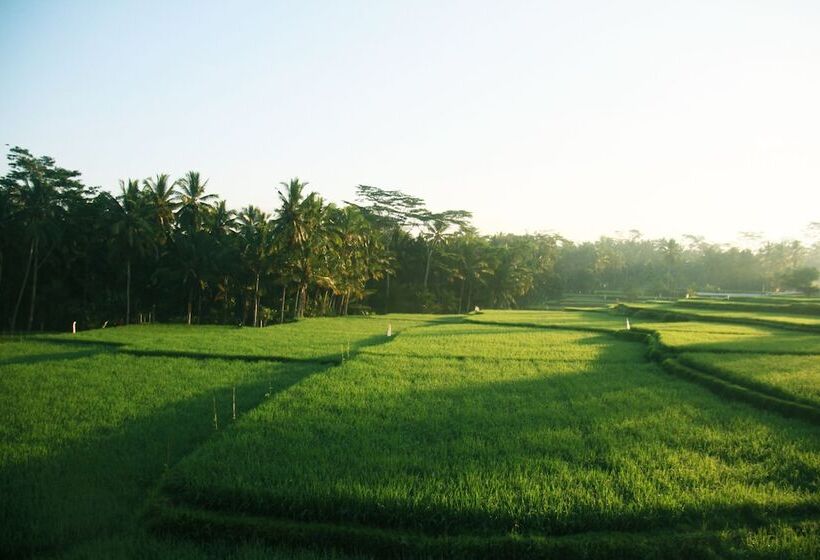 Fotos del hotel Green Fields Luxury Villas:  18