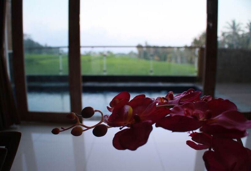 Fotos del hotel Green Fields Luxury Villas:  21