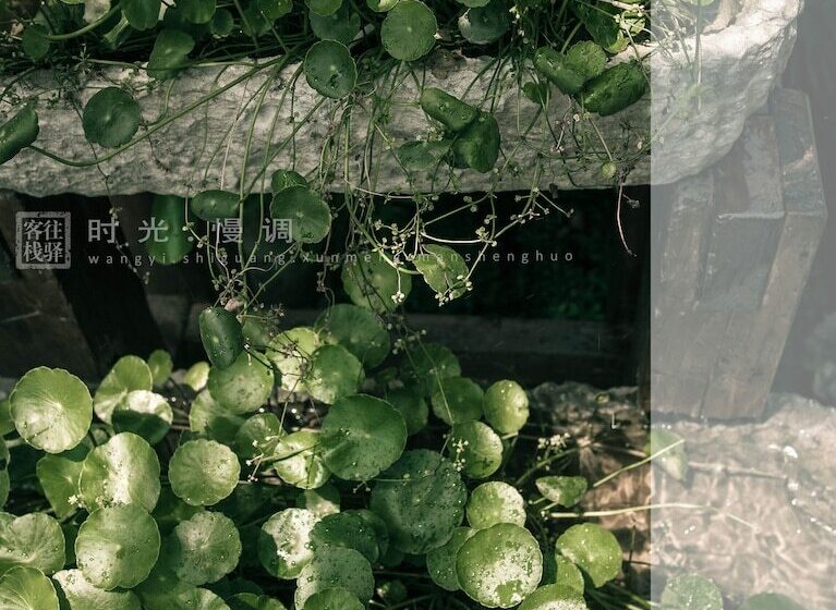 Fotos del hotel Zhangjiajie Wang Yi Inn:  20