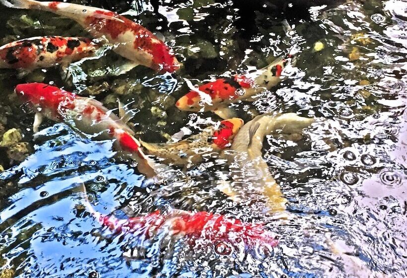 Fotos del hotel Rio Monte Residence:  17