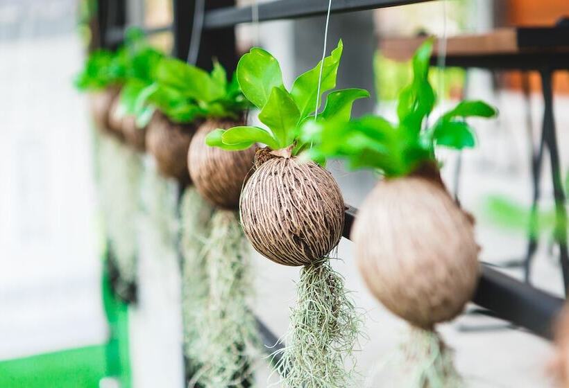 Fotos del hotel Stucco Loft Residency:  18