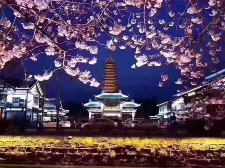 Fotos del hotel Changshu It:  23