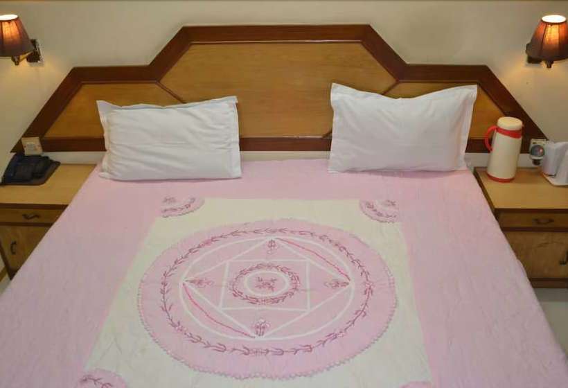 Fotos del hotel Atithi Palace:  11