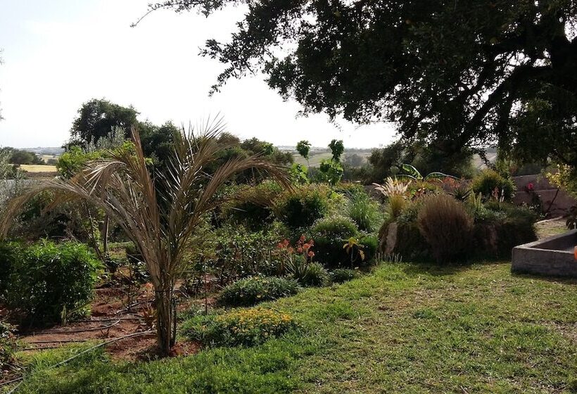 Fotos del hotel Riad Tigmin Eden:  19