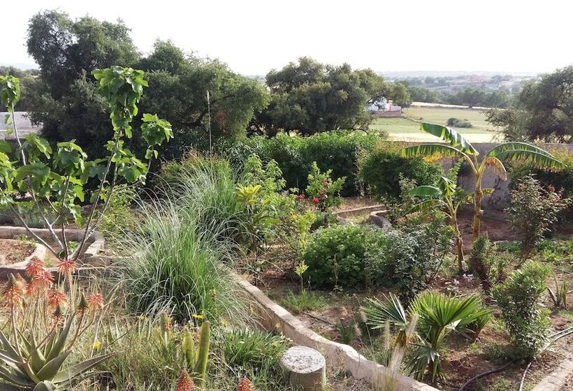 Fotos del hotel Riad Tigmin Eden:  14