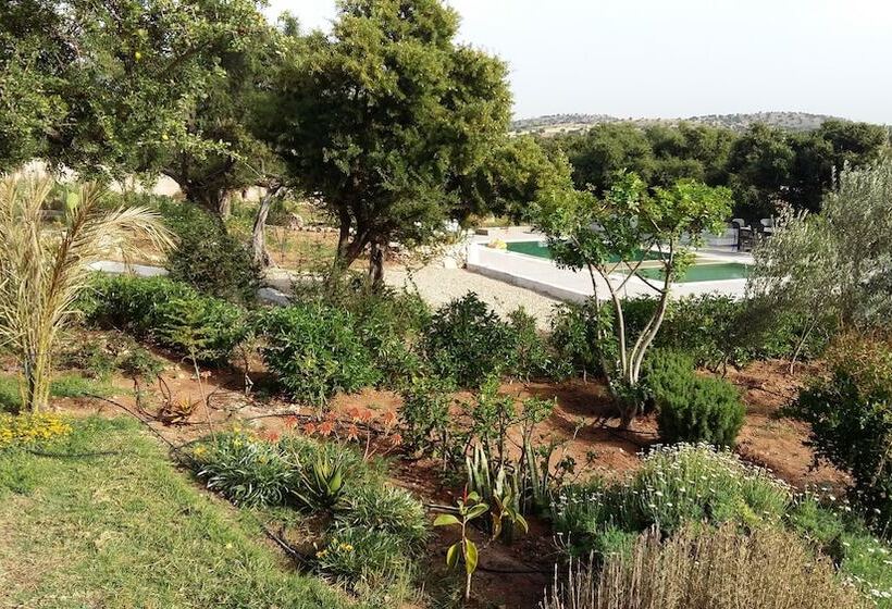 Fotos del hotel Riad Tigmin Eden:  15